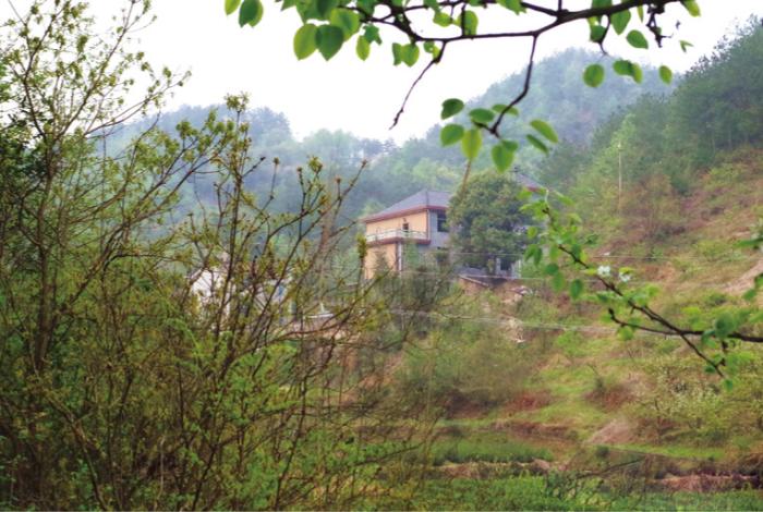 缙云杜桥村村口