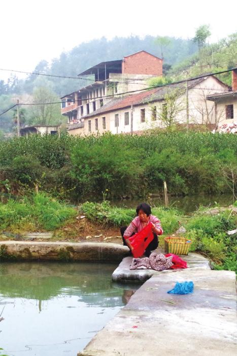 缙云杜桥村村口