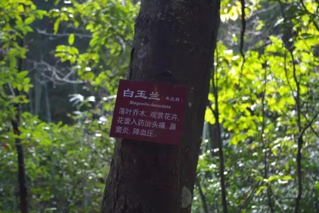 景区