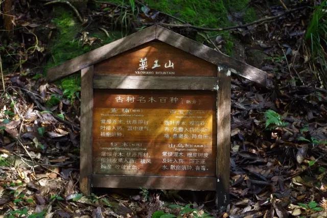 药王山风景区