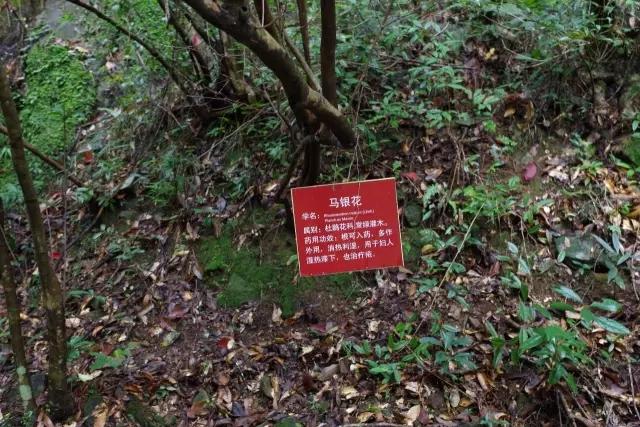 景区