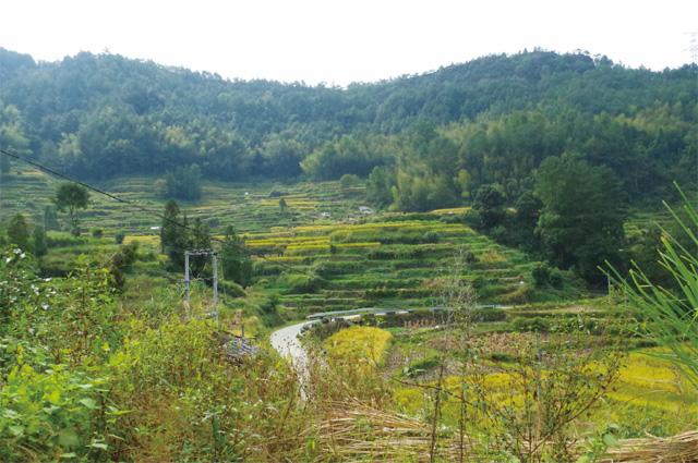 巨屿镇孔山村