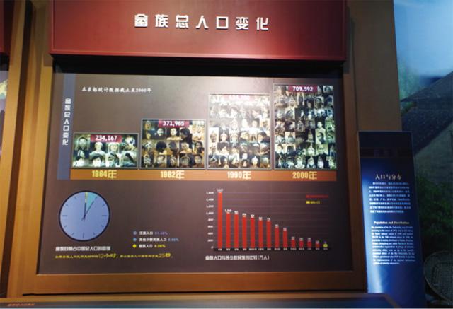畲族总人口变化图