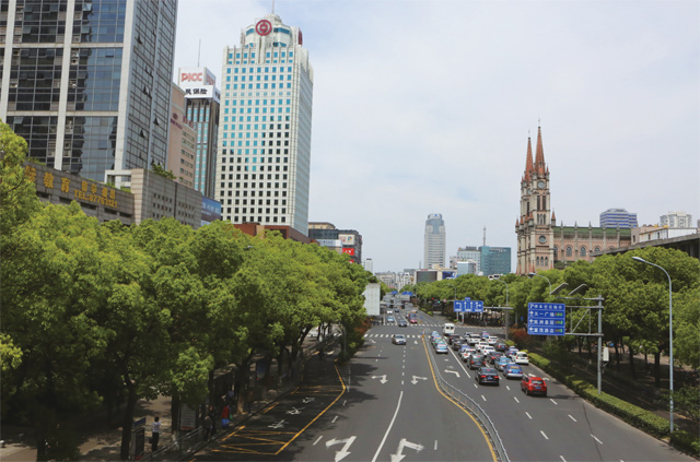 宁波药行街全景